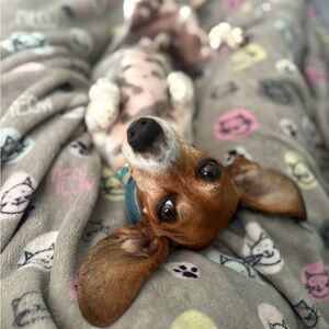 ✨ Bundle for Ms. JB ✨